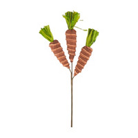 Carrot Pick Décor