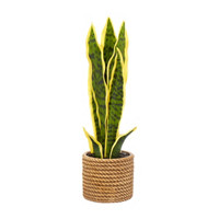 Faux Snake Plant with Decorative Planter