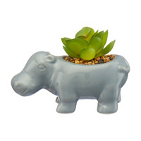 Garden Decoration Mini Hippo Succulent Planter