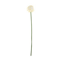 Pom Pom Stem, White