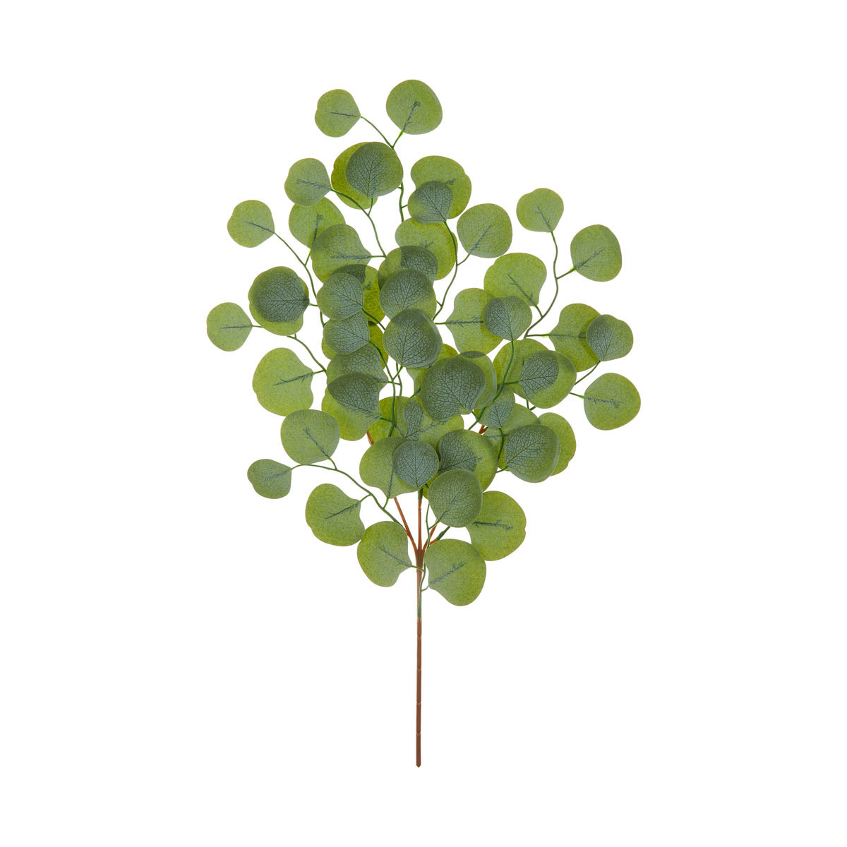 Artificial Eucalyptus Plant Stem