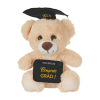 Graduation Teddy Bear Plush Toy