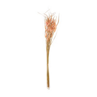 Artificial Dried Grasses Stem