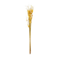 Artificial Yellow Tipped Grass Stem Décor