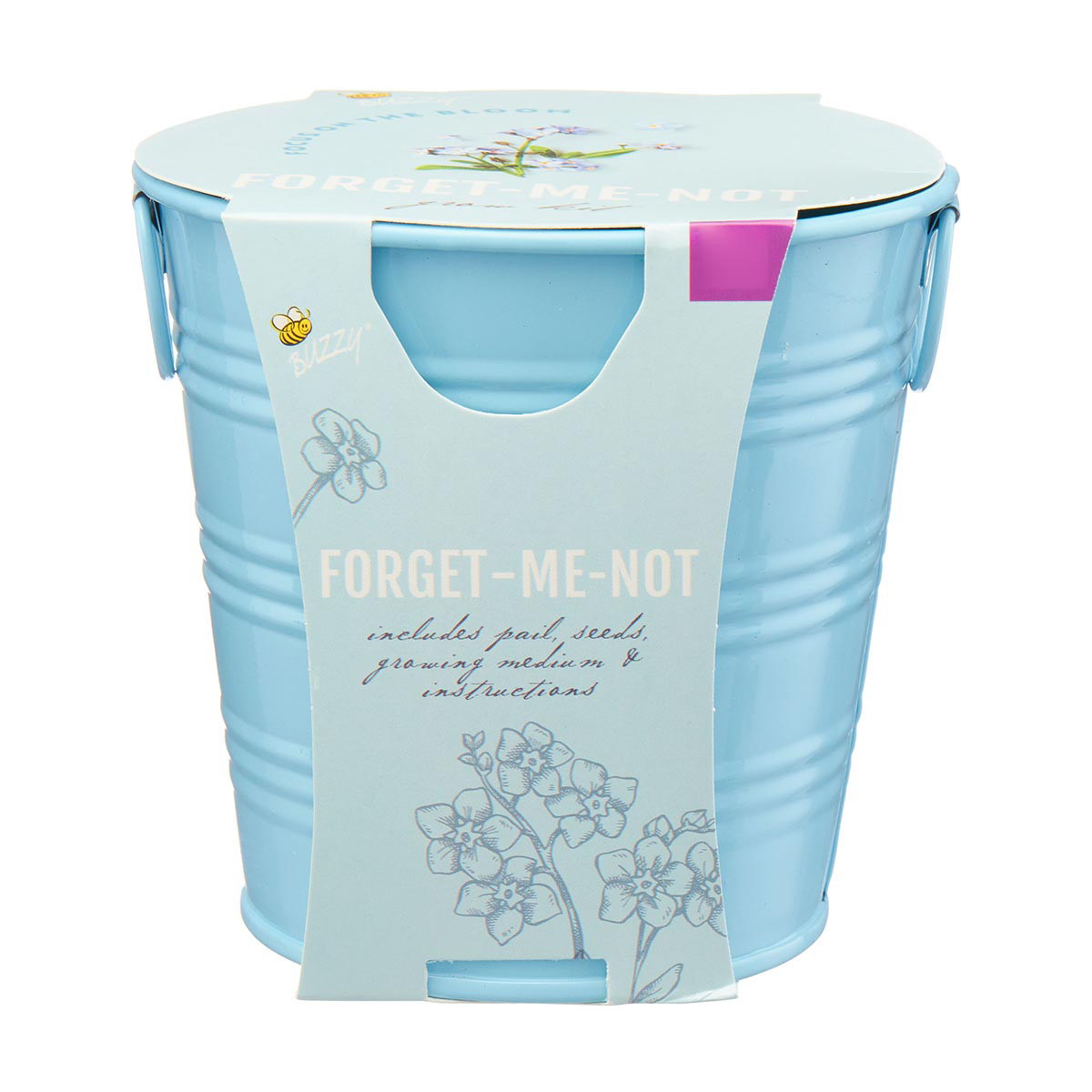 Buzzy Forget-Me-Not Growing Kit