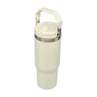 Double Wall Stainless Steel Tumbler with Handle