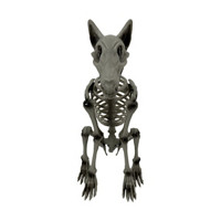 Halloween Skeleton Dog Décor