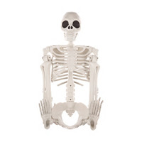 Halloween Poseable Skeleton, 60 in