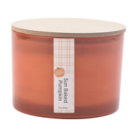 Perfect Harvest Sun Baked Pumpkin Scented Candle, 15