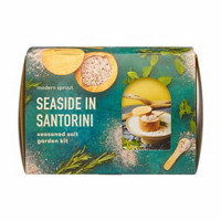 Modern Sprout Seaside In Santorini Seasonal Salt Garden Kit