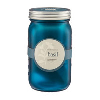 Modern Sprout Basil Hydroponic Grow Kit in a Pint Jar