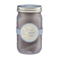 Modern Sprout Mint Hydroponic Grow Kit in a Pint Jar