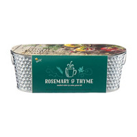 Buzzy Rosemary & Thyme Growing Kit