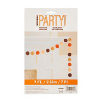 Unique Party! Autumn Colors Felt Pom Pom Garland