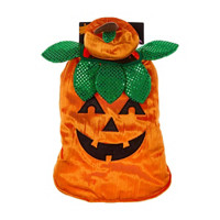 Halloween Pumpkin Pet Costume