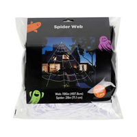 Spider Web Set with Large Web and Two Posable Spiders