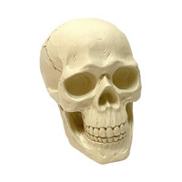 Halloween Resin Skull Décor