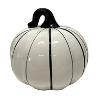 Black and White Striped Pumpkin