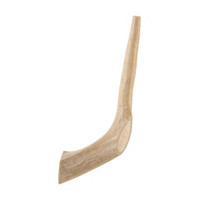 Whole Deer Antler, 6 in