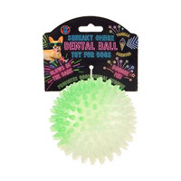 Bow Wow Pets Dental Ball Toy for Dogs