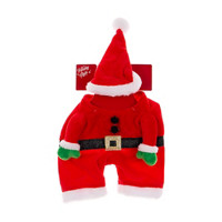 Santa Pet Costume with Hat