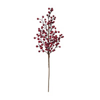 Frost Red Berry Stem