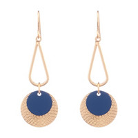 Drop Disc Matt Earrings