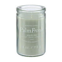 Scented Candle, Palm Fronds, 4 oz