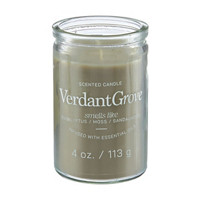 Scented Candle, Frosty Verdant Grove, 4 oz