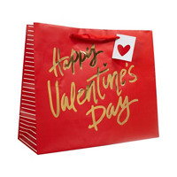 Valentine's Day Gift Bag, Large 