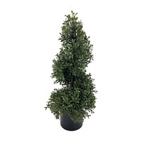 Spiral Topiary, 24 in