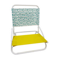 Folding Beach Chair