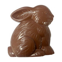 Chocolate Bunny Container, 4.5 in