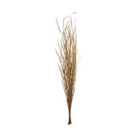 Natural Flax Stem, 47 in