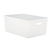 Shallow Bin with Lid, Medium