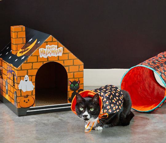 Black cat dressed in a Halloween cape costume in font of a cardboard Halloween cat house and tunnel toy.