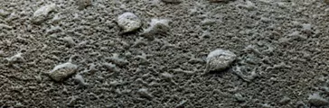 Water drops beading on concrete surface