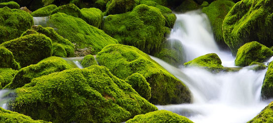 Waterfall running down boulders with bright green moss