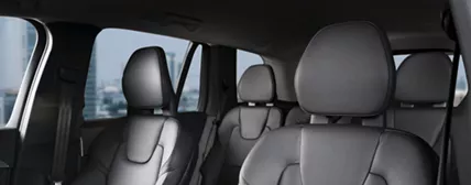 Natural Leather Finishing