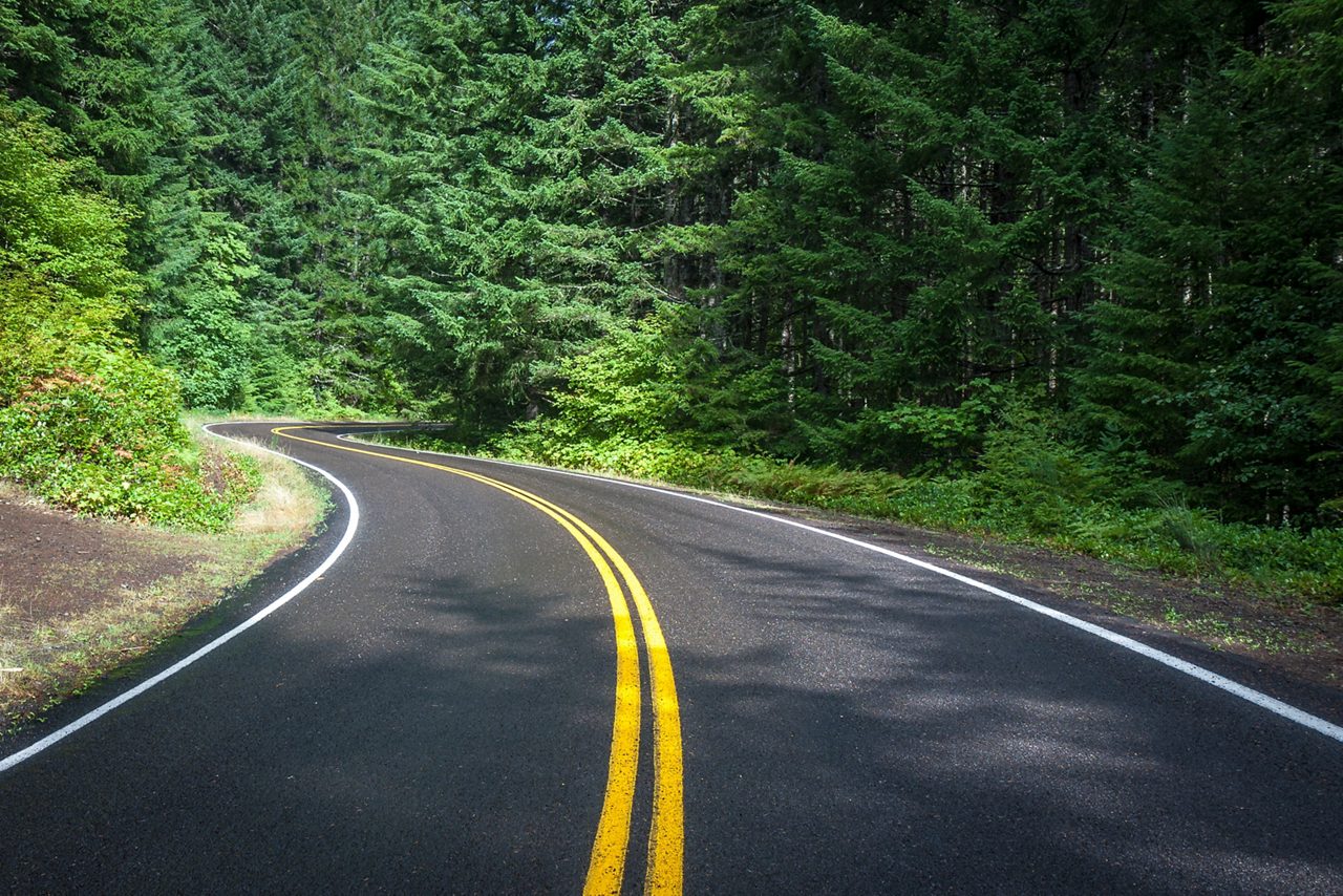 소나무 숲 가운데에 노란색 도로 표시가 있는 구불구불한 검은색 아스팔트 도로