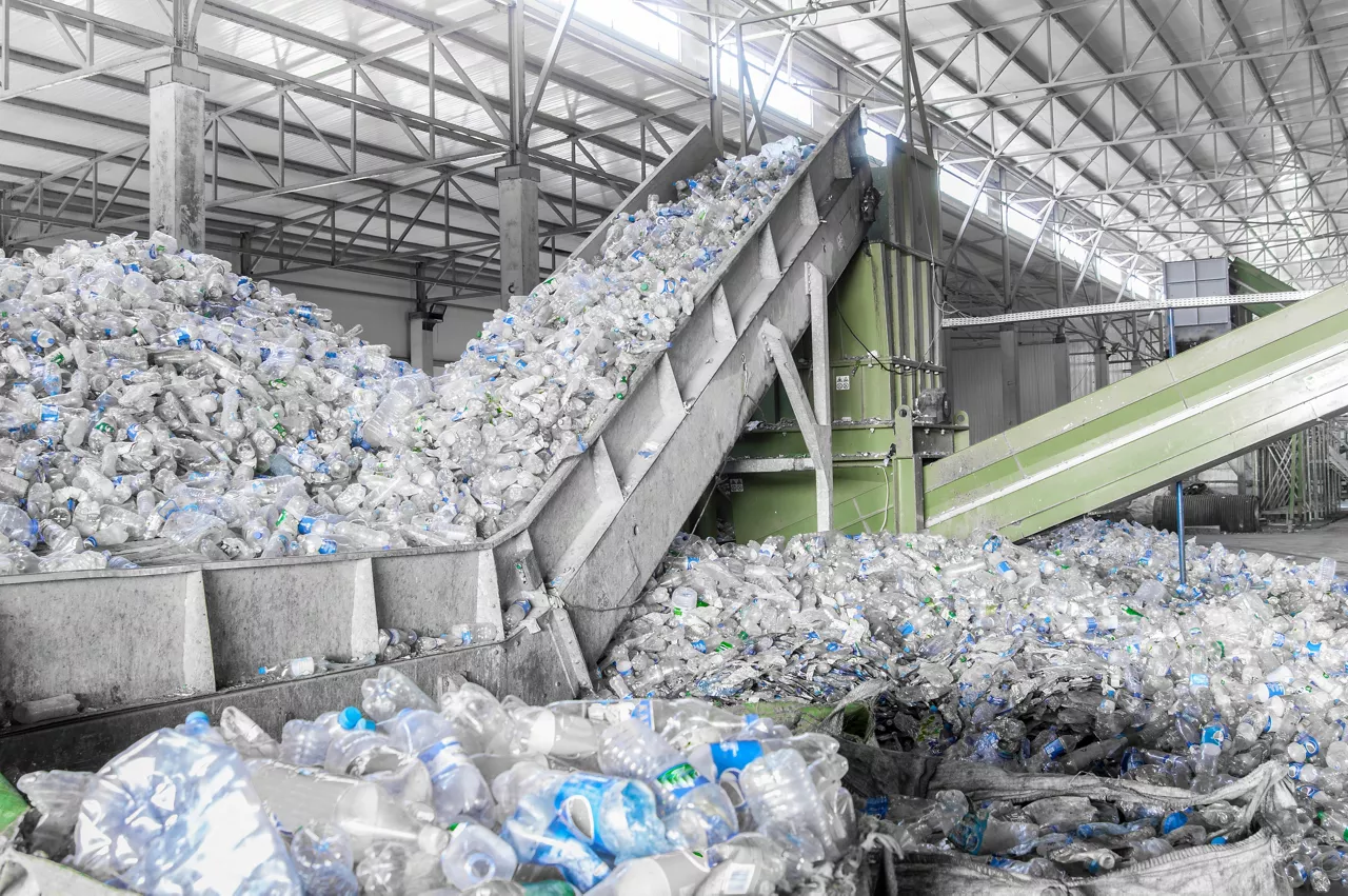 Plastic bottles being collected for recycling
