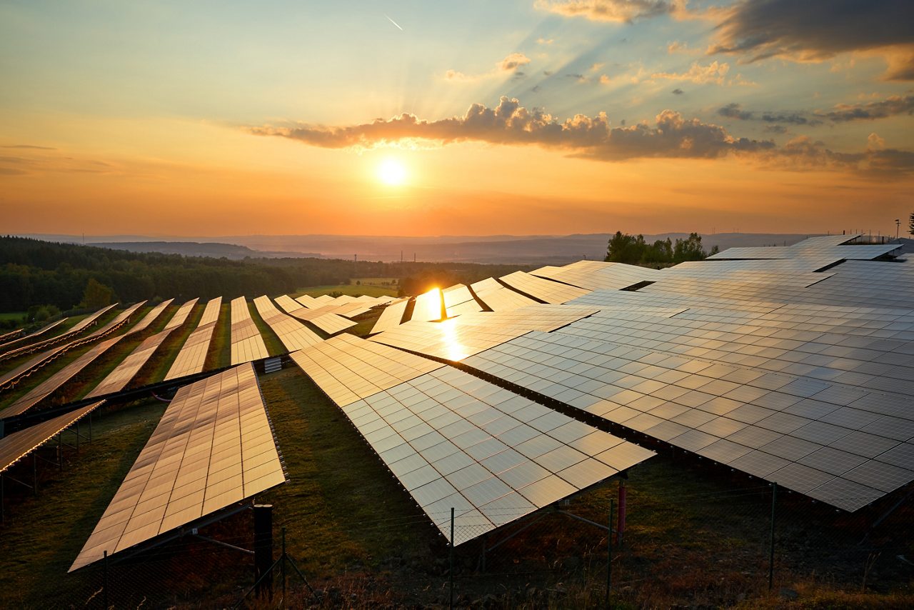 Solar panels farm integrating sustainability Science branding elements