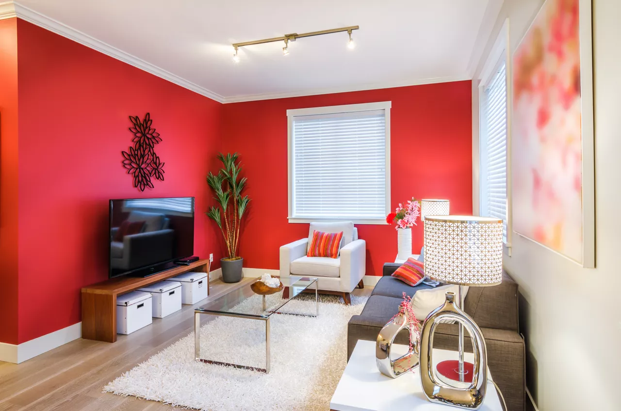 Colorful modern living room