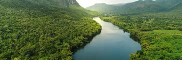 tropical green forest with mountains in background