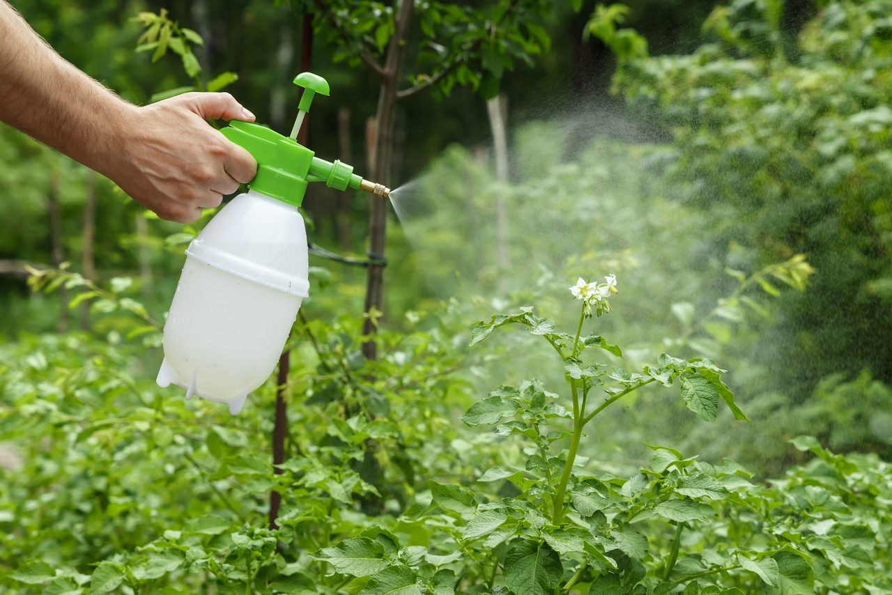 Plantas de pulverização