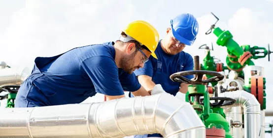 Two people working at plant 