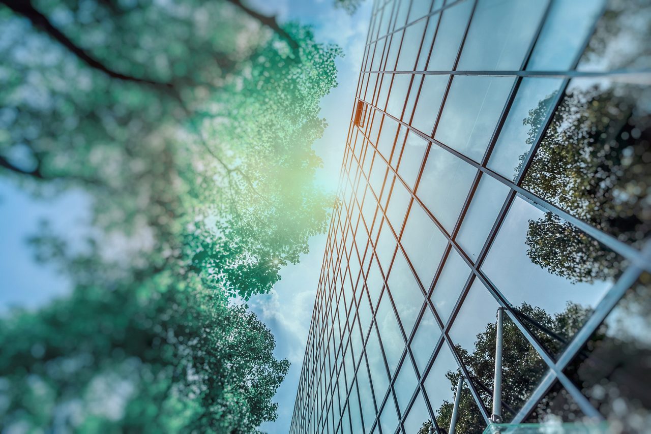Modern office building window exterior with green trees and sun burst | Sustainability approved retouched version