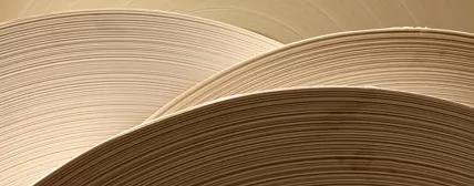 Vinyl Acetate Monomer