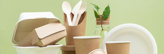 Eco-friendly disposable containers for food and drinks over green