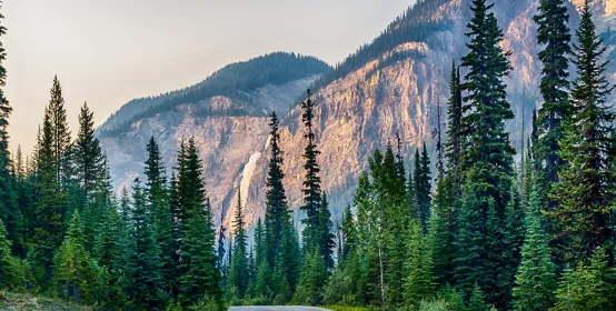 Road to waterfall, surrounded by trees and mountains